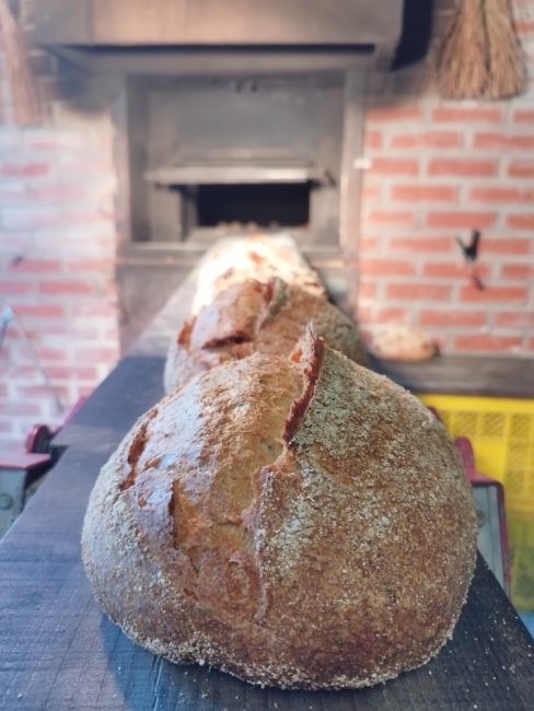 薪窯から出した焼き立てパン
